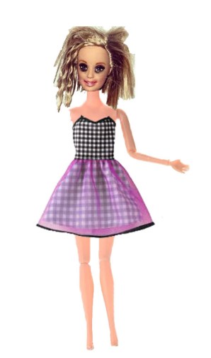 Differently Abled Barbie 4